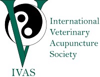 IVAS